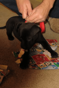 Kathi iphone 2014 050